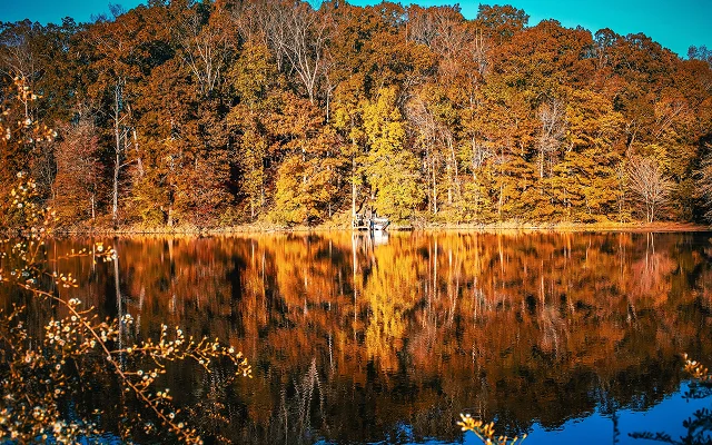 Scenic drive through the country, Johns Creek, Georgia, USA – Johns Creek, cheap car insurance in Georgia