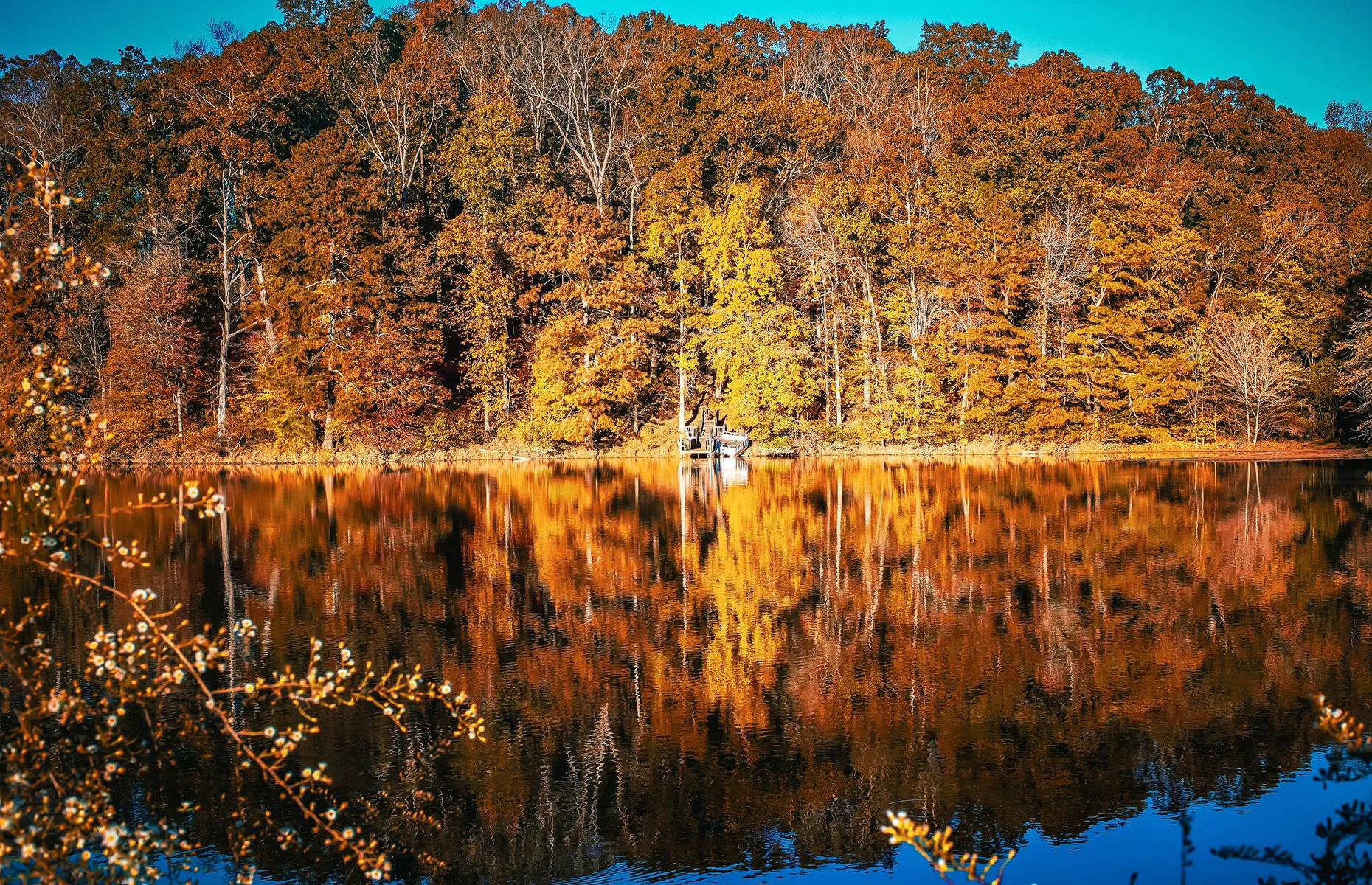 Scenic drive through the country, Johns Creek, Georgia, USA – Johns Creek, cheap car insurance in Georgia